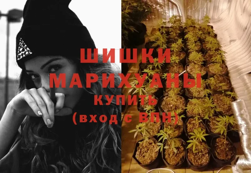 Бошки марихуана LSD WEED  купить   Николаевск 